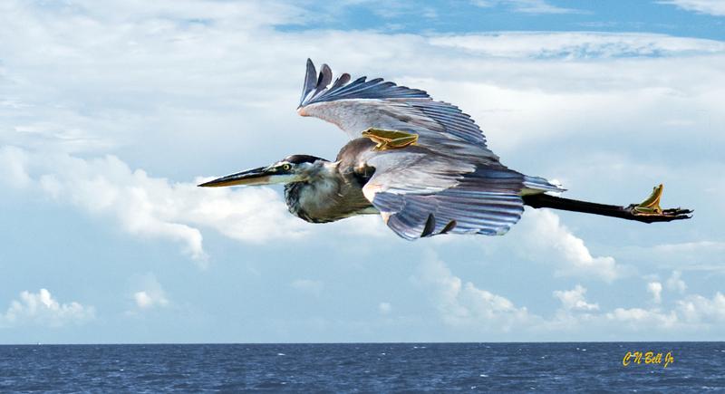 Traveling First Class