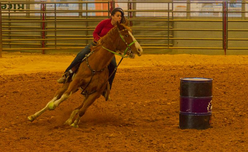 Barrel Racer
