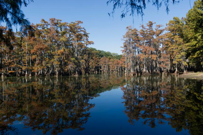 Bayou DeSiard Monroe