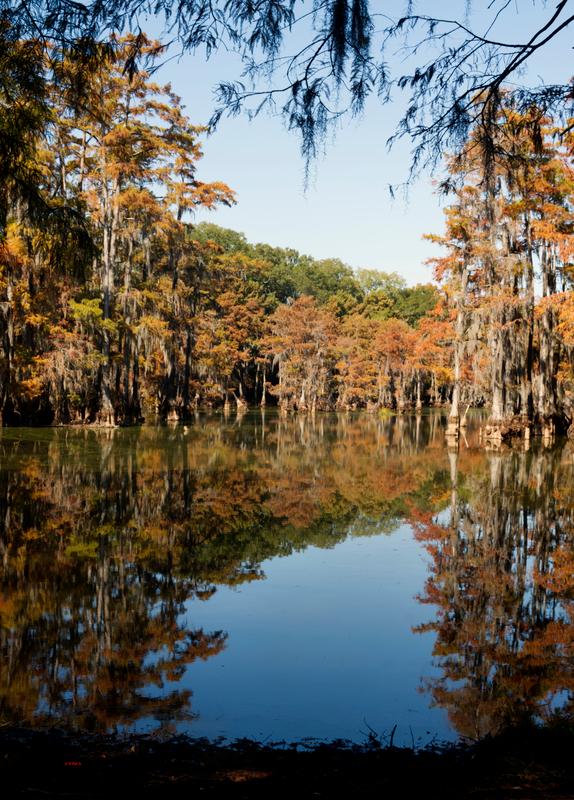 Bayou DeSiard Monroe Two